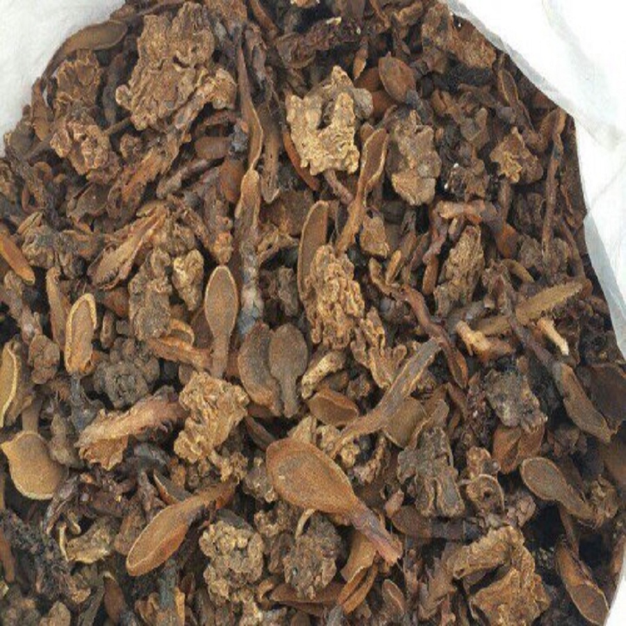 Nấm ngọc cẩu khô